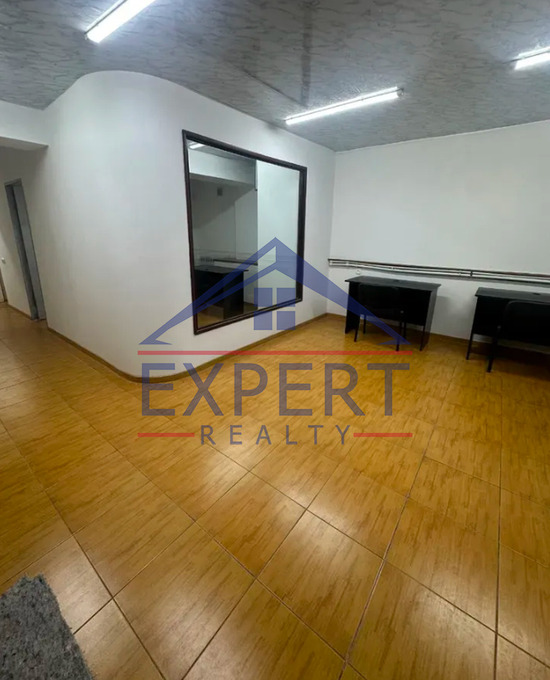 ԿԵՆՏՐՈՆ, ՊՈՒՇԿԻՆԻ ՓՈՂՈՑ, 85 ՔՄ