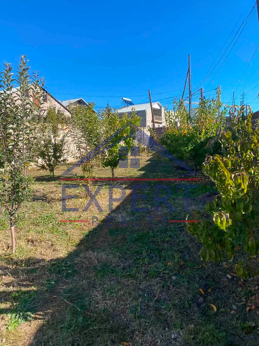 ՆՈՐ ՆՈՐՔ, ԲԱԳՐԵՎԱՆԴ ԹԱՂԱՄԱՍ, 3 ՍԵՆՅԱԿ