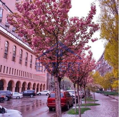 ԿԵՆՏՐՈՆ, ՄՈՍԿՈՎՅԱՆ ՓՈՂՈՑ, 3 ՍԵՆՅԱԿ