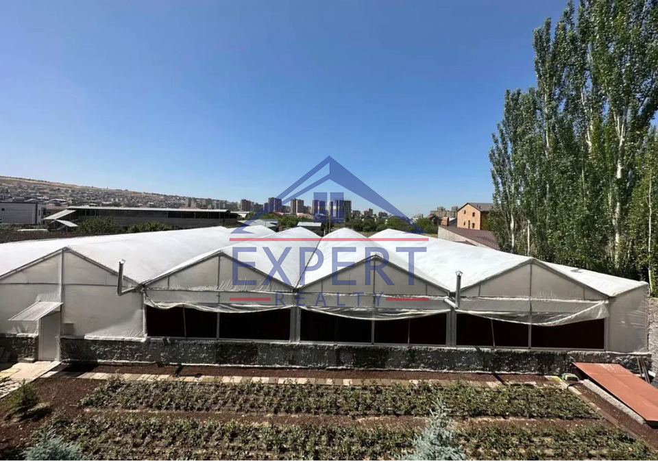 ԱՎԱՆ, ՊԱՐՈՒՅՐ ՍԵՎԱԿ ԹԱՂԱՄԱՍ, 8 ՍԵՆՅԱԿ