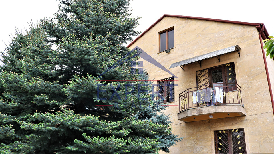 ԱՎԱՆ, ՊԱՐՈՒՅՐ ՍԵՎԱԿ ԹԱՂԱՄԱՍ, 3 ՀԱՐԿԱՆԻ ԱՌԱՆՁՆԱՏՈՒՆ