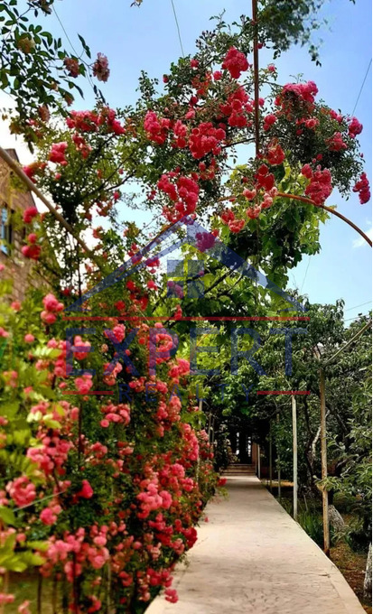 ՔԱՆԱՔԵՌ-ԶԵՅԹՈՒՆ, ԿԱՐԱՊԵՏ ՈՒԼՆԵՑԻ ՓՈՂՈՑ, 3 ՀԱՐԿ