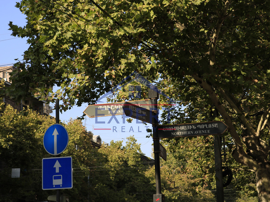 ԿԵՆՏՐՈՆ, ՊՈՒՇԿԻՆԻ ՓՈՂՈՑ, 5 ՍԵՆՅԱԿ