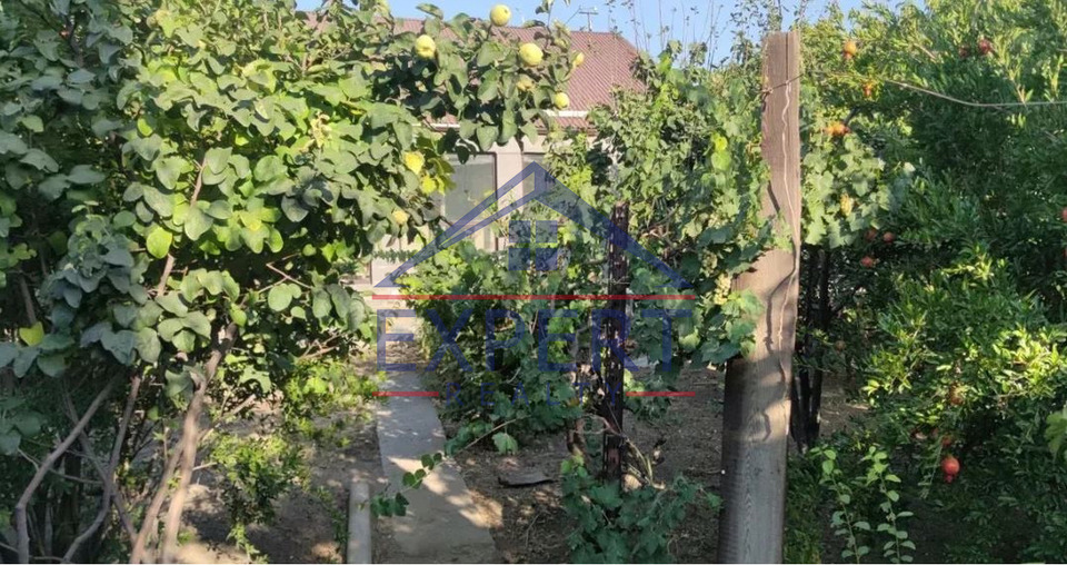 ԷՐԵԲՈՒՆԻ,   ՆՈՐ ԱՐԵՇ, 5  ՍԵՆՅԱԿ