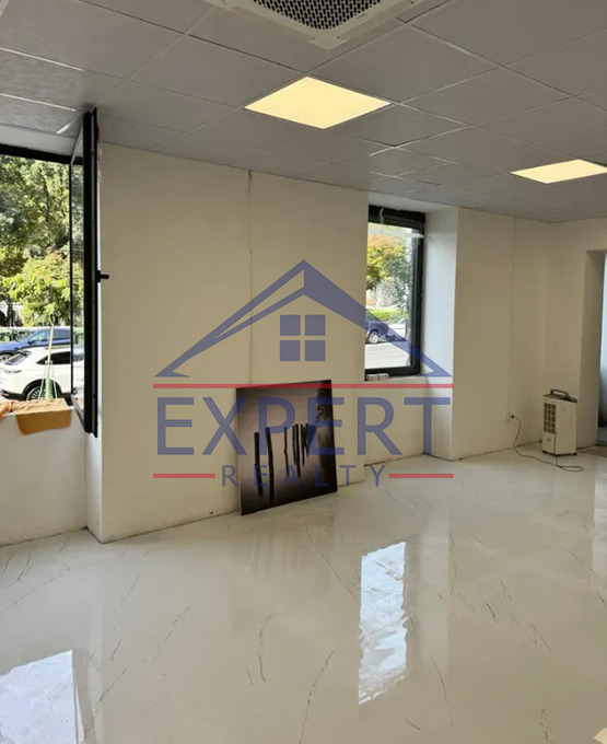 ԿԵՆՏՐՈՆ, ԱԼԵՔ ՄԱՆՈՒԿՅԱՆ  ՓՈՂՈՑ, 195ՔՄ