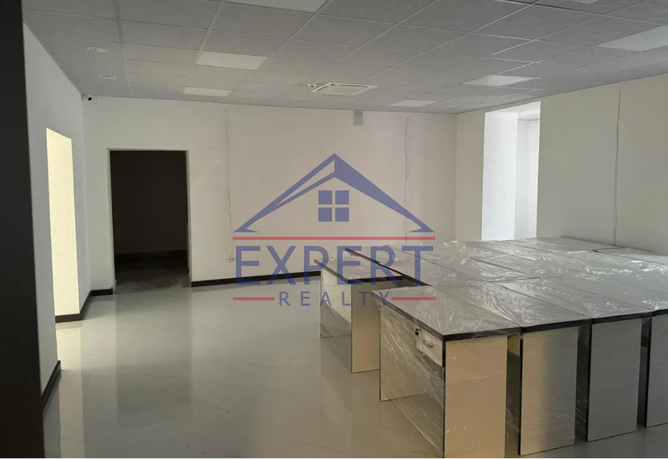 ԿԵՆՏՐՈՆ, ԱԼԵՔ ՄԱՆՈՒԿՅԱՆ  ՓՈՂՈՑ, 195ՔՄ