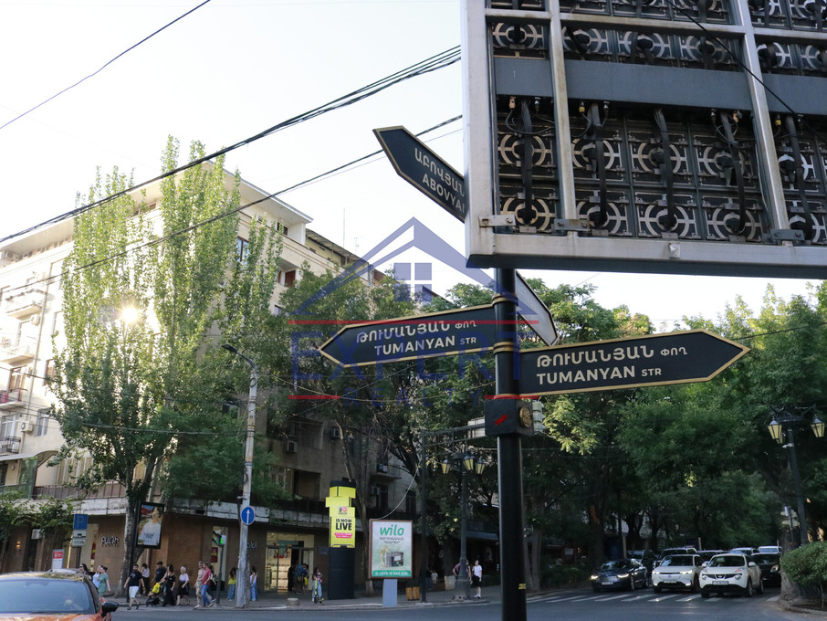 ԿԵՆՏՐՈՆ, ԹՈՒՄԱՆՅԱՆ ՓՈՂՈՑ, 3 ՍԵՆՅԱԿ