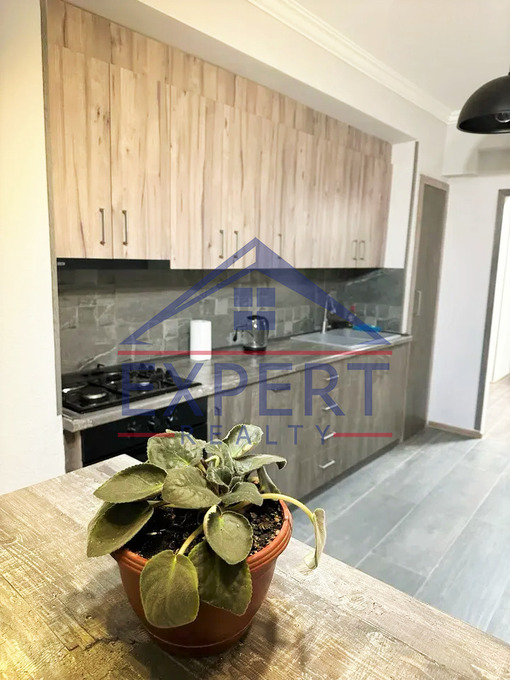 ԿԵՆՏՐՈՆ, ԴԵՐԵՆԻԿ ԴԵՄԻՐՃՅԱՆ, 2 ՍԵՆՅԱԿ