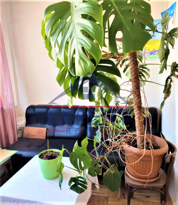 ՇԵՆԳԱՎԻԹ, ՍՄԲԱՏ ԶՈՐԱՎԱՐԻ ՓՈՂՈՑ, 2 ՍԵՆՅԱԿ