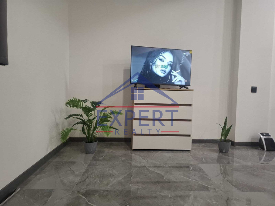 ԱՐԱԲԿԻՐ, ՄԱՄԻԿՈՆՅԱՆՑ ՓՈՂՈՑ, 1 ՍԵՆՅԱԿ