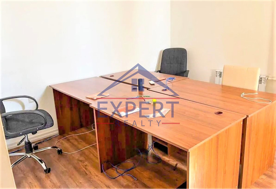 ԱՐԱԲԿԻՐ, ՆԱԻՐԻ ԶԱՐՅԱՆ