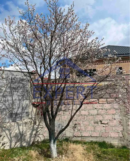 ԴԱՎԹԱՇԵՆ, Ձոր 2 ԹԱՂԱՄԱՍ