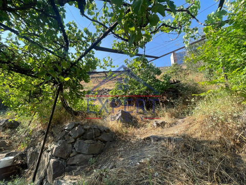 ԿԵՆՏՐՈՆ, ՄՅԱՍՆԻԿՅԱՆ ՊՈՂՈՏԱ,