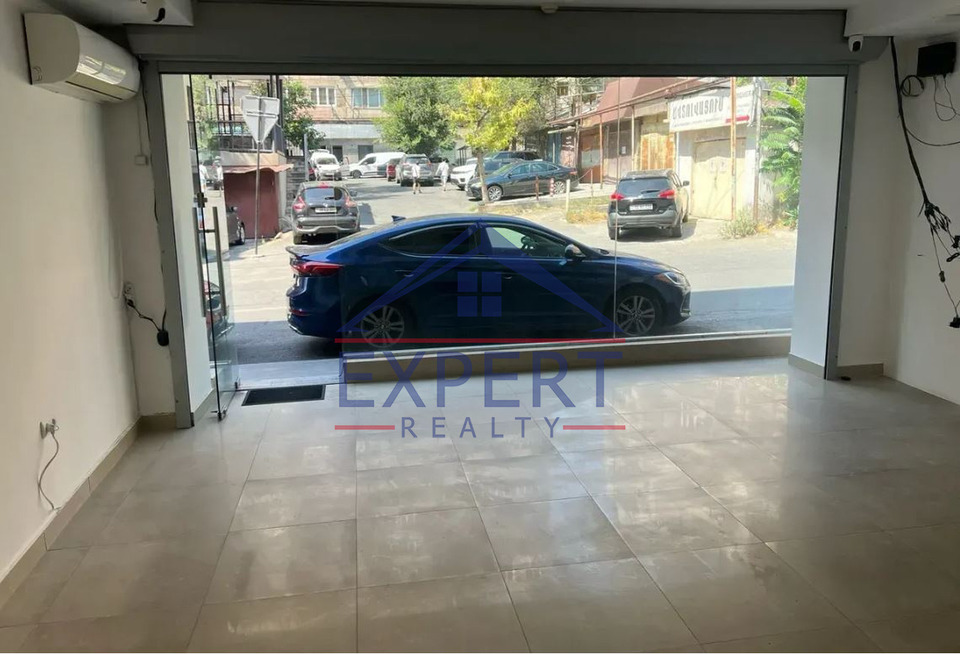 ԱՐԱԲԿԻՐ, ՎԻԿՏՈՐ ՀԱՄԲԱՐՁՈՒՄՅԱՆ , 100 ՔՄ