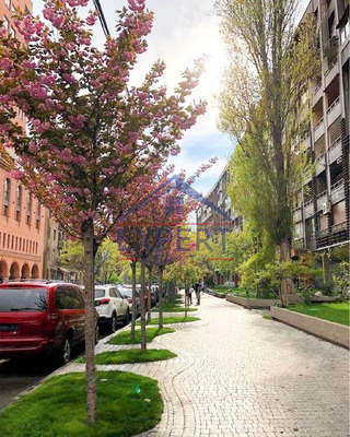 ԿԵՆՏՐՈՆ,ՍԱՅԱԹ ՆՈՎԱ ՓՈՂՈՑ 100ՔՄ
