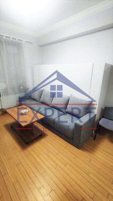 ԿԵՆՏՐՈՆ, ԱՐԳԻՇՏԻ ՓՈՂՈՑ, 1 ՍԵՆՅԱԿ