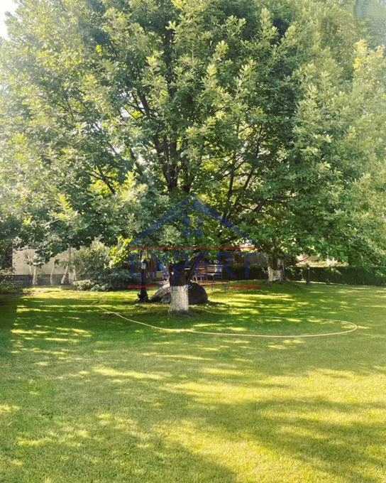ՆՈՐՔ ՄԱՐԱՇ, ԼՈՒՍԻՆԵ ԶԱՔԱՐՅԱՆ ՓՈՂՈՑ, 5 ՍԵՆՅԱԿ
