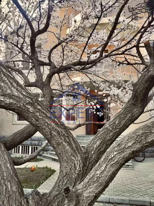 ԱՐԱԲԿԻՐ, ԱՅԳԵԿՑՈՒ ՓՈՂՈՑ, 511 Ք․Մ