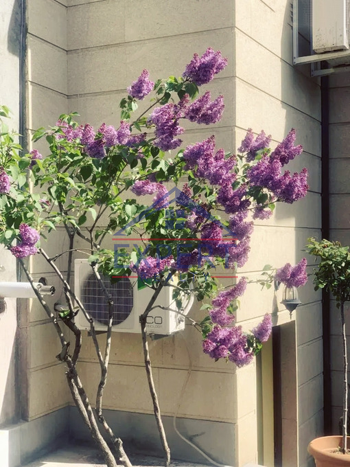 ԿԵՆՏՐՈՆ, ՊՌՈՇՅԱՆ ՓՈՂՈՑ, 3 ՍԵՆՅԱԿ