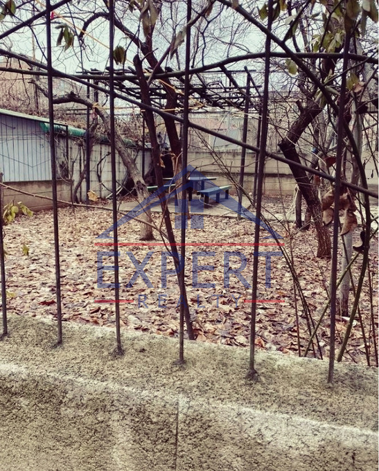 ԱՐԱԲԿԻՐ, ՄԱՄԻԿՈՆՅԱՆՑ ՓՈՂՈՑ, 3 ՍԵՆՅԱԿ