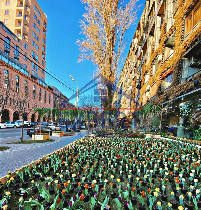 ԿԵՆՏՐՈՆ, ՍԱՐՅԱՆ ՓՈՂՈՑ, 1 ՍԵՆՅԱԿ