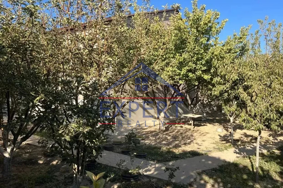 ՆՈՐ ՆՈՐՔ ՎԻԼՆՅՈՒՍԻ ՓՈՂՈՑ 5 ՍԵՆՅԱԿ